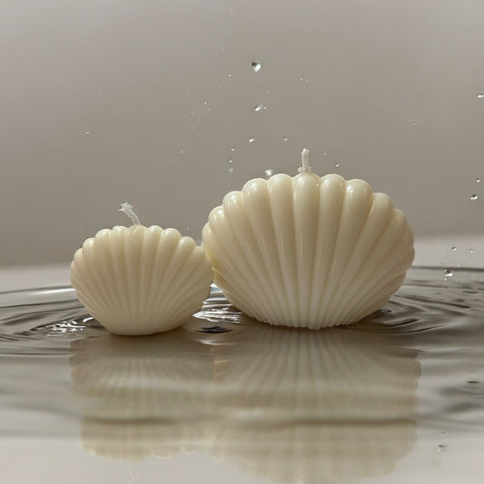 Set of 2 seashells